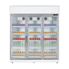 Movable Upright Cooler for Display And Sale of Beverages, Floral with Tempered Insulated Hinged Door